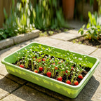 4-Pack Heavy Duty Seed Trays, 38.8cm × 24.5cm, No Drainage Holes