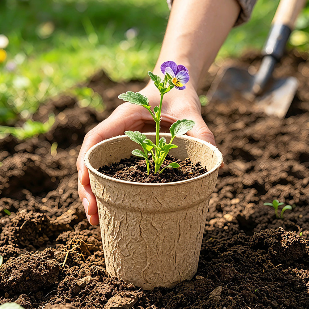 Biodegradable Plant 10cm Pot, Nursery Saucer Set (15 Pots with 5 Trays)