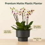 2-Pack Indoor Plant Pots with Saucers, 17cm & 21cm, Drainage Holes, Decorative Planter for Windowsill Home Office (Black)