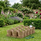 Biodegradable Plant 10cm Pot, Nursery Saucer Set (15 Pots with 5 Trays)