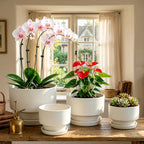 2-Pack Indoor Plant Pots with Saucers, 17cm & 21cm, Drainage Holes, Decorative Planter for Windowsill Home Office (White)