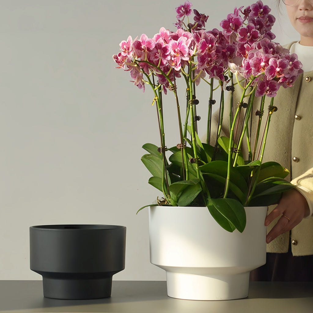 2-Pack Indoor Plant Pots with Saucers, 17cm & 21cm, Drainage Holes, Decorative Planter for Windowsill Home Office (Black)