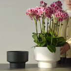 2-Pack Indoor Plant Pots with Saucers, 17cm & 21cm, Drainage Holes, Decorative Planter for Windowsill Home Office (Black)