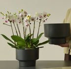 2-Pack Indoor Plant Pots with Saucers, 17cm & 21cm, Drainage Holes, Decorative Planter for Windowsill Home Office (Black)