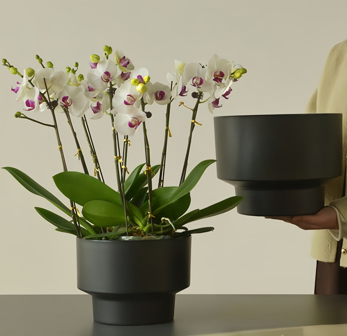 2-Pack Indoor Plant Pots with Saucers, 17cm & 21cm, Drainage Holes, Decorative Planter for Windowsill Home Office (Black)