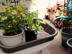 Heavy Duty Garden Potting Tray, Weatherproof, Multi-Purpose Grey (Large)