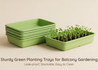 4-Pack Heavy Duty Seed Trays, 38.8cm × 24.5cm, No Drainage Holes