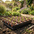 seed trays with humidity dome